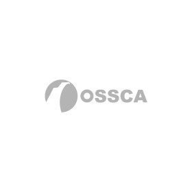 Пробка фланца охлаждающей жидкости OSSCA 01229