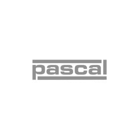 Полуось Pascal g2g029pc