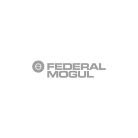 Комплект поршневих кілець Federal Mogul 0813840000