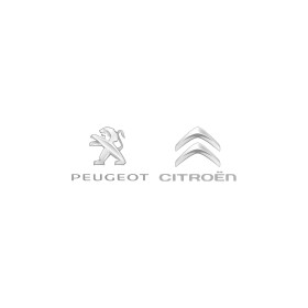 Передняя противотуманная фара Citroen / Peugeot 620862
