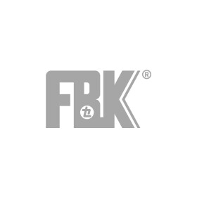 Гальмівні колодки FBK C13050FBK