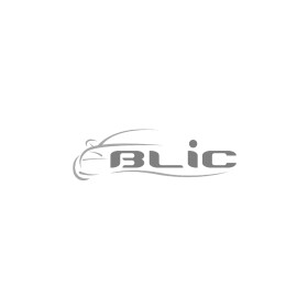Решітки радіатора BLIC 6502-07-2021993P