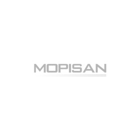 Поршень Mopisan 1027548000