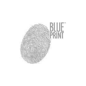 Опора амортизатора Blue Print adg080336