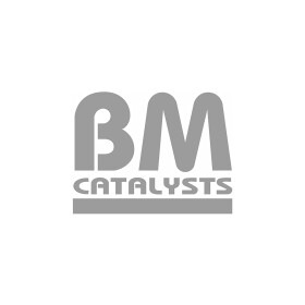 Приемная труба BM Catalysts bm51131