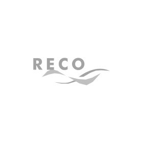 Натяжной ролик поликлинового ремня RECO 0055
