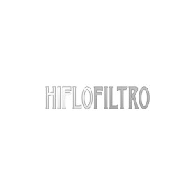 Масляный фильтр Hiflo filtro HF303C