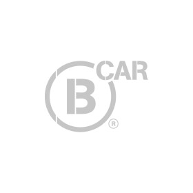 Тормозной суппорт B car 008vw010