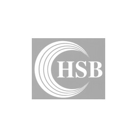 Тормозные колодки HSB HS2005