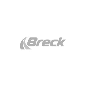 Гальмівний диск Breck br081sa100