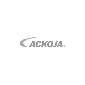 Фильтр салона Ackojap a38300005