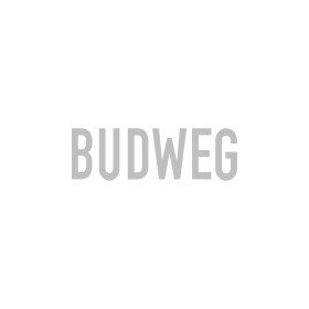 Ремкомплект гальмівного супорта Budweg 209034