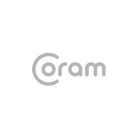 Опорный подшипник амортизатора Coram CA011