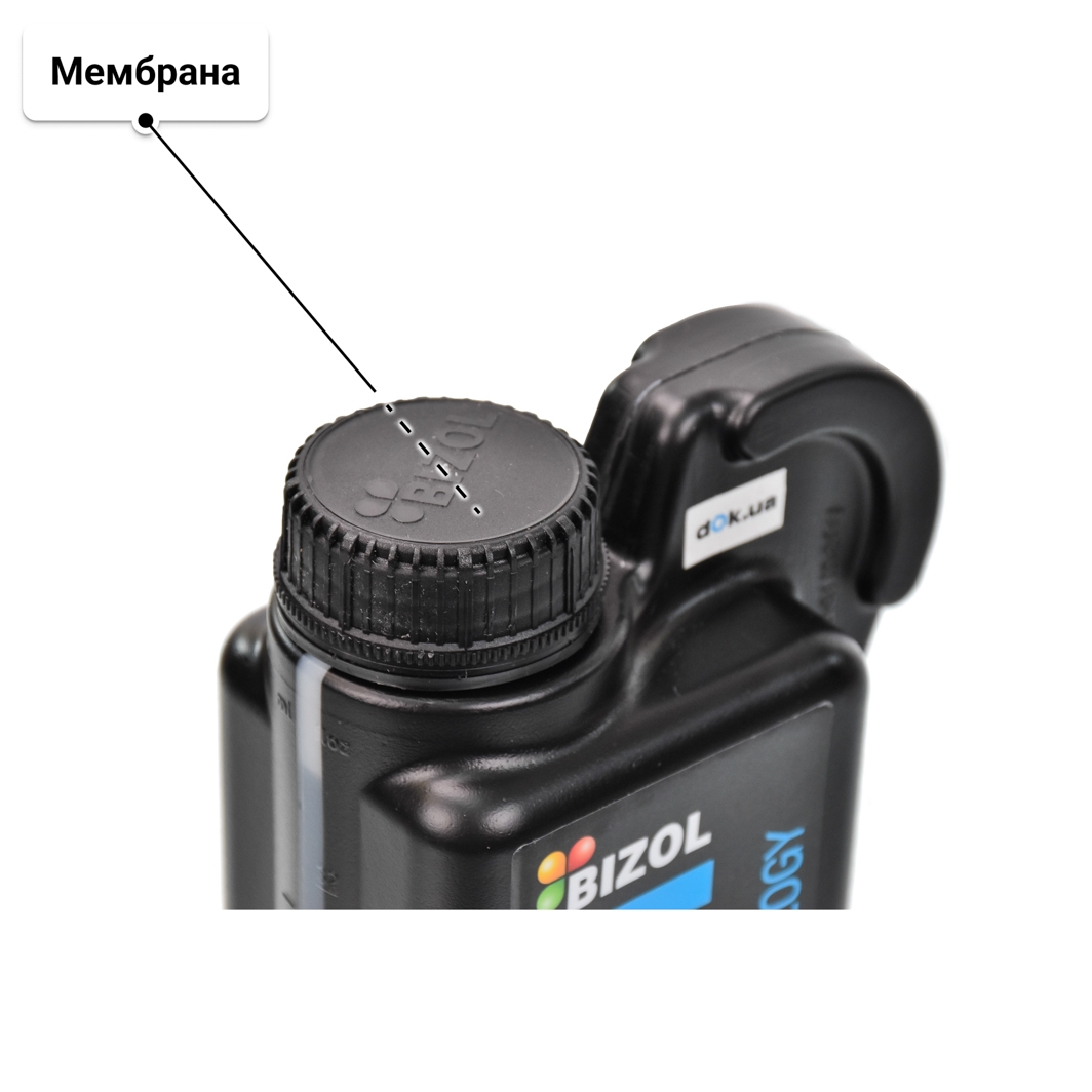 Масло Bizol Technology 507 5W-30 для Chevrolet Kalos 1 л