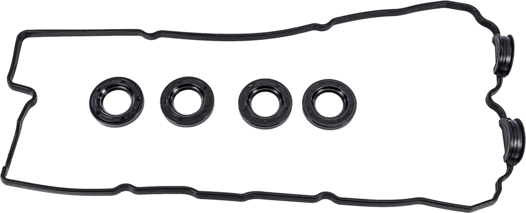 

Reinz 155278101 Комплект прокладок клапанной крышки