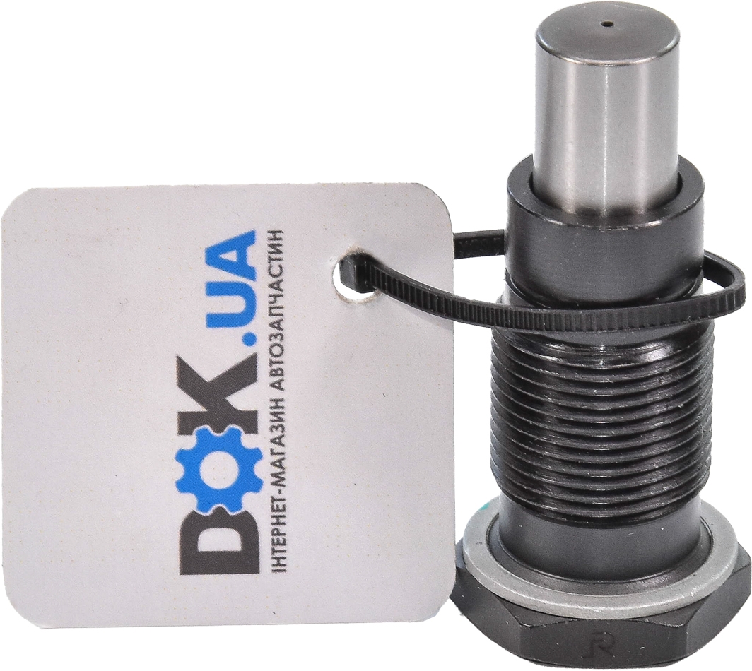 

Borsehung b1t005 Натяжитель цепи