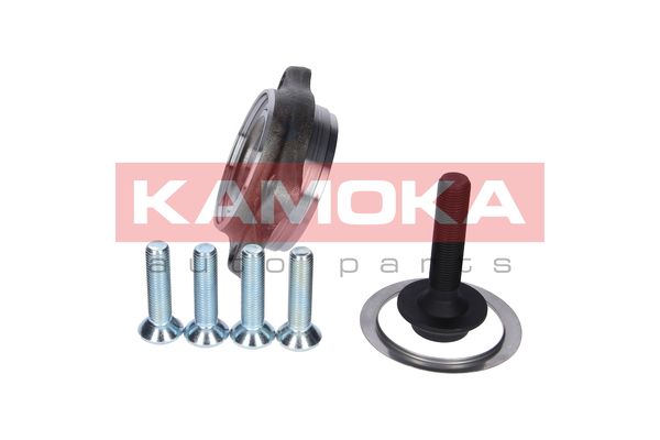 

Kamoka 5500130 Комплект ступицы колеса