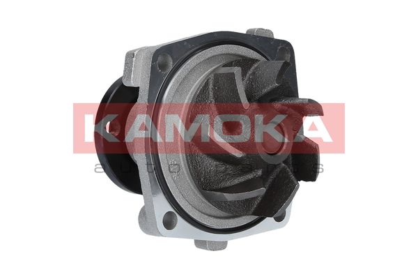 

Kamoka T0011 Помпа
