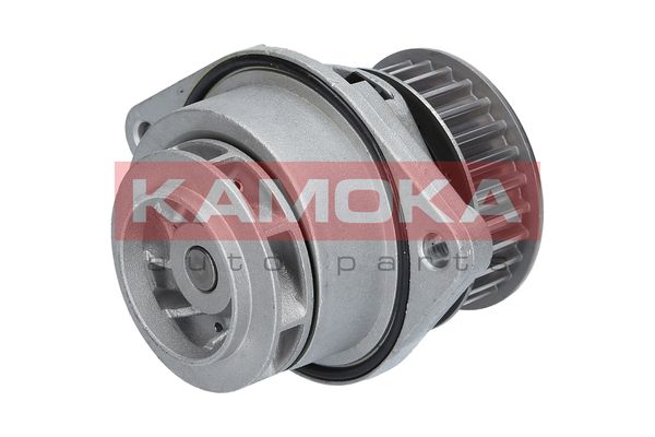 

Kamoka T0024 Помпа