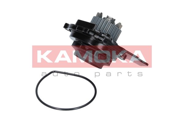 

Kamoka T0031 Помпа