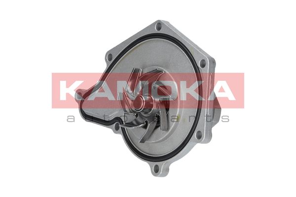 

Kamoka T0035 Помпа