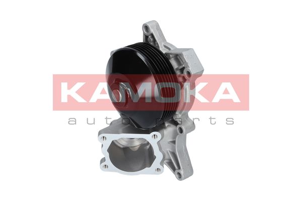 

Kamoka T0048 Помпа