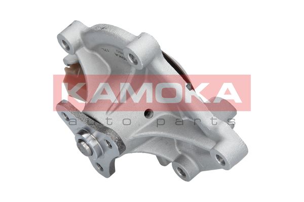 

Kamoka T0050 Помпа