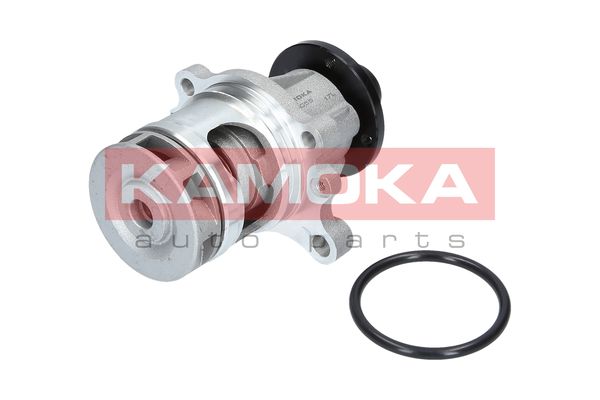 

Kamoka T0056 Помпа