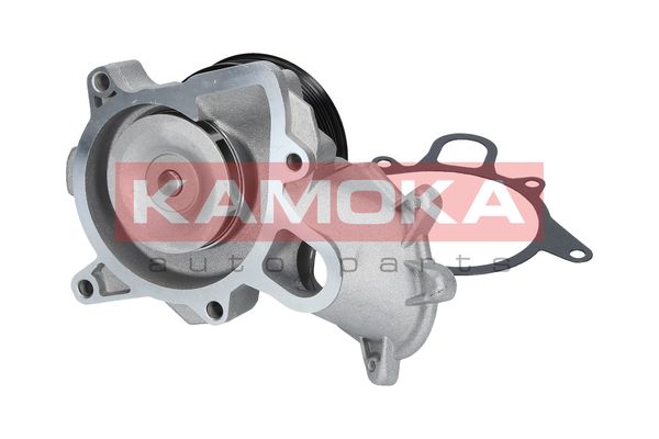 

Kamoka T0060 Помпа