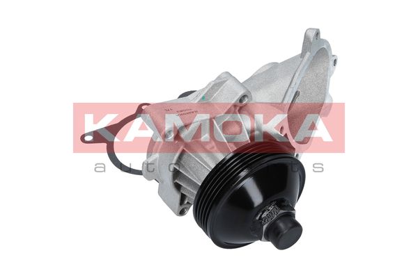 

Kamoka T0063 Помпа