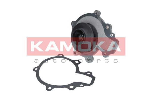 

Kamoka T0068 Помпа