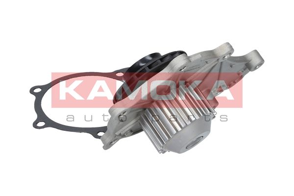

Kamoka T0081 Помпа