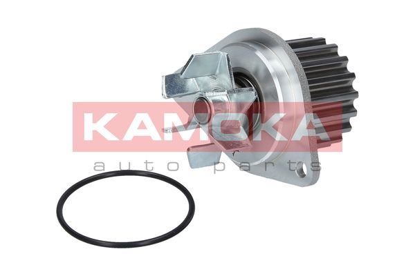 

Kamoka T0089 Помпа