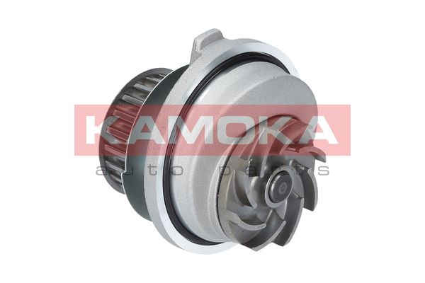 

Kamoka T0107 Помпа