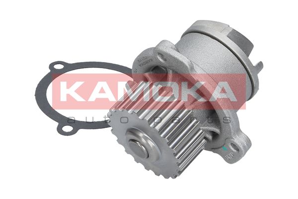 

Kamoka T0172 Помпа