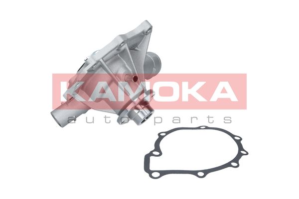 

Kamoka T0189 Помпа