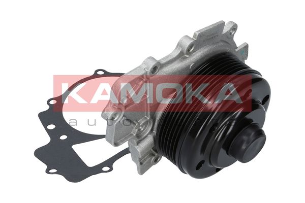 

Kamoka T0203 Помпа