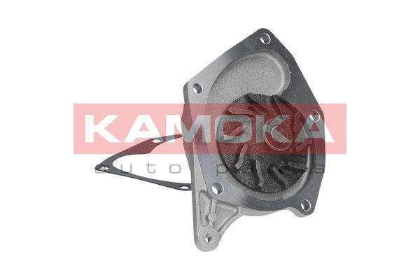 

Kamoka T0214 Помпа