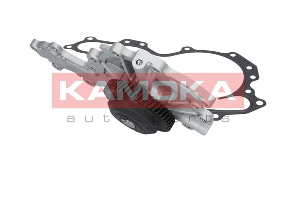 

Kamoka T0240 Помпа