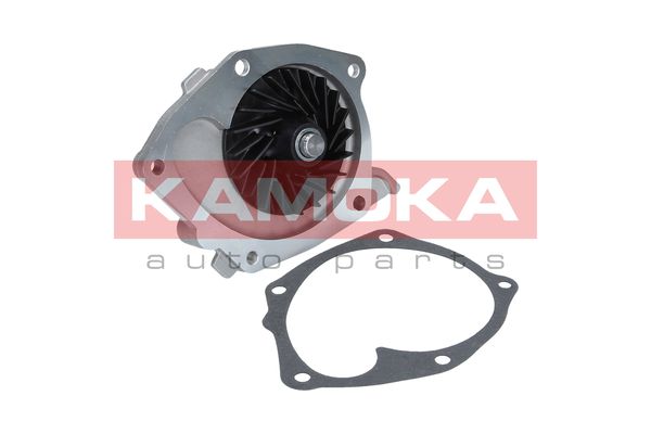 

Kamoka T0245 Помпа