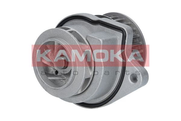 

Kamoka T0248 Помпа