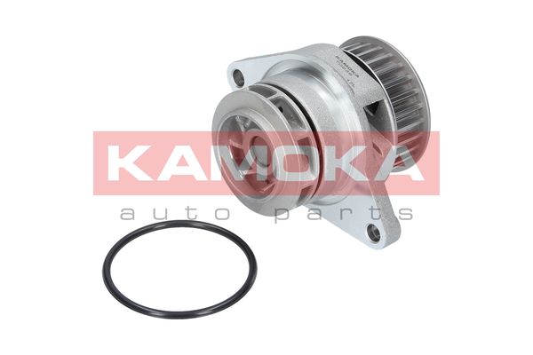 

Kamoka T0249 Помпа