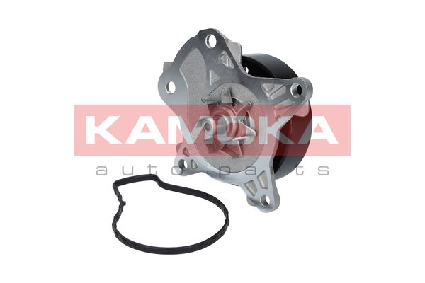 

Kamoka T0262 Помпа