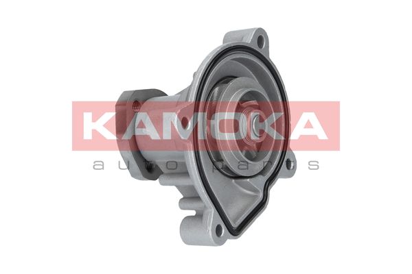 

Kamoka T0272 Помпа