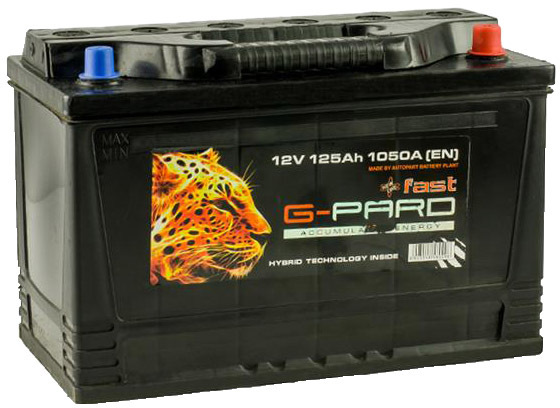 

Аккумулятор G-Pard 6 CT-125-R trc125f00