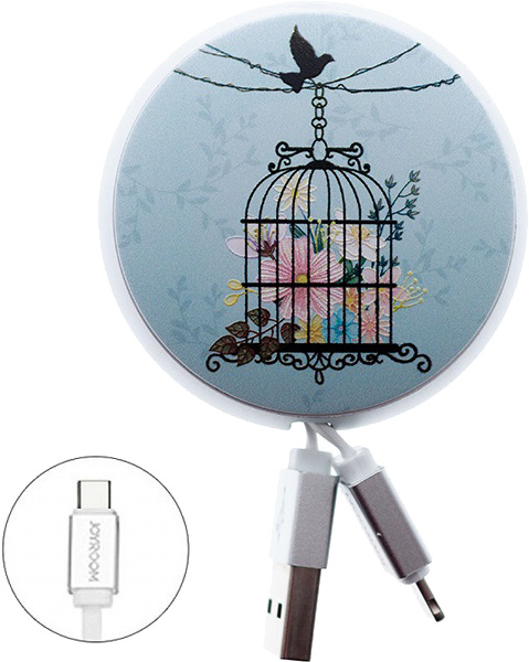 

Кабель Joyroom RL053244 USB - USB type-C 0,9 м