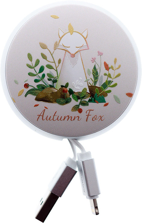 

Кабель Joyroom RL049419 USB - Apple Lighting 0,9 м