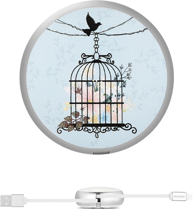 

Кабель Joyroom RL049417 USB - Apple Lighting 0,9 м
