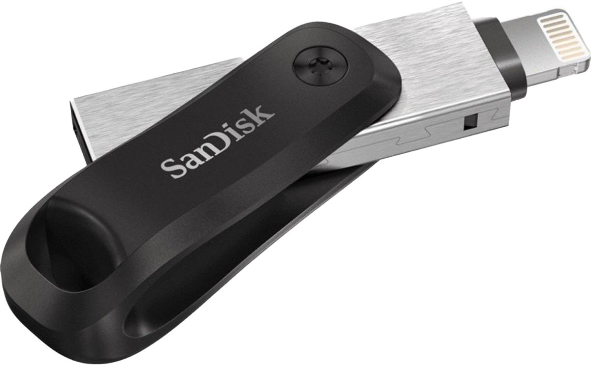 

Флешка SanDisk iXpand Go 256 ГБ SDIX60N-256G-GN6NE