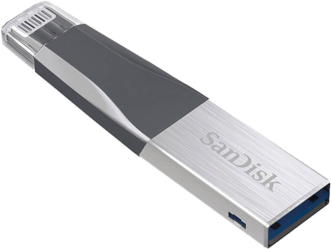 

Флешка SanDisk iXpand Mini 64 ГБ SDIX40N-064G-GN6NN